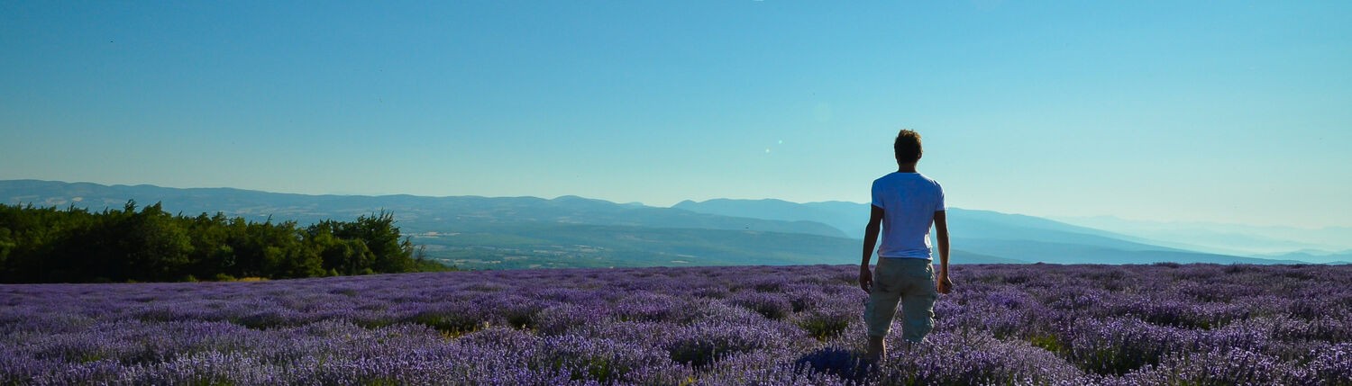 provence-landschaft-lavendel-thomas