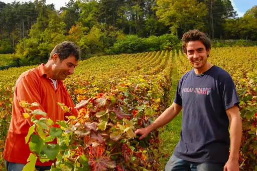 burgund-menschen-winzer