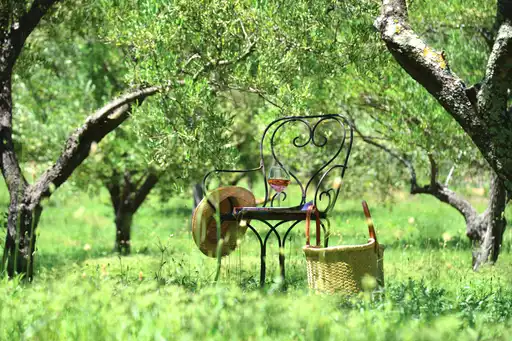 provence-unterkunft-garten