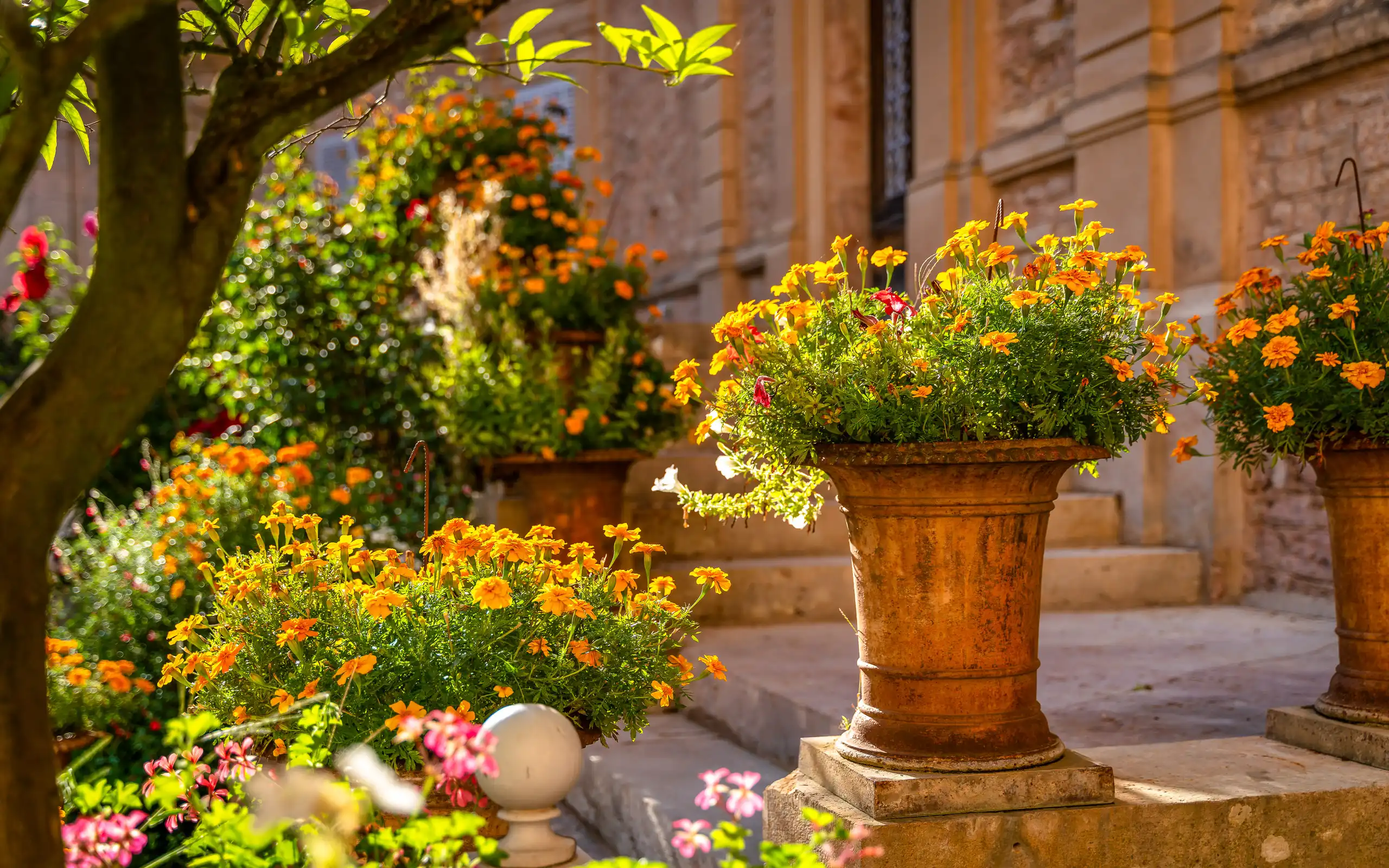 burgund-unterkünfte-schloss-blumen