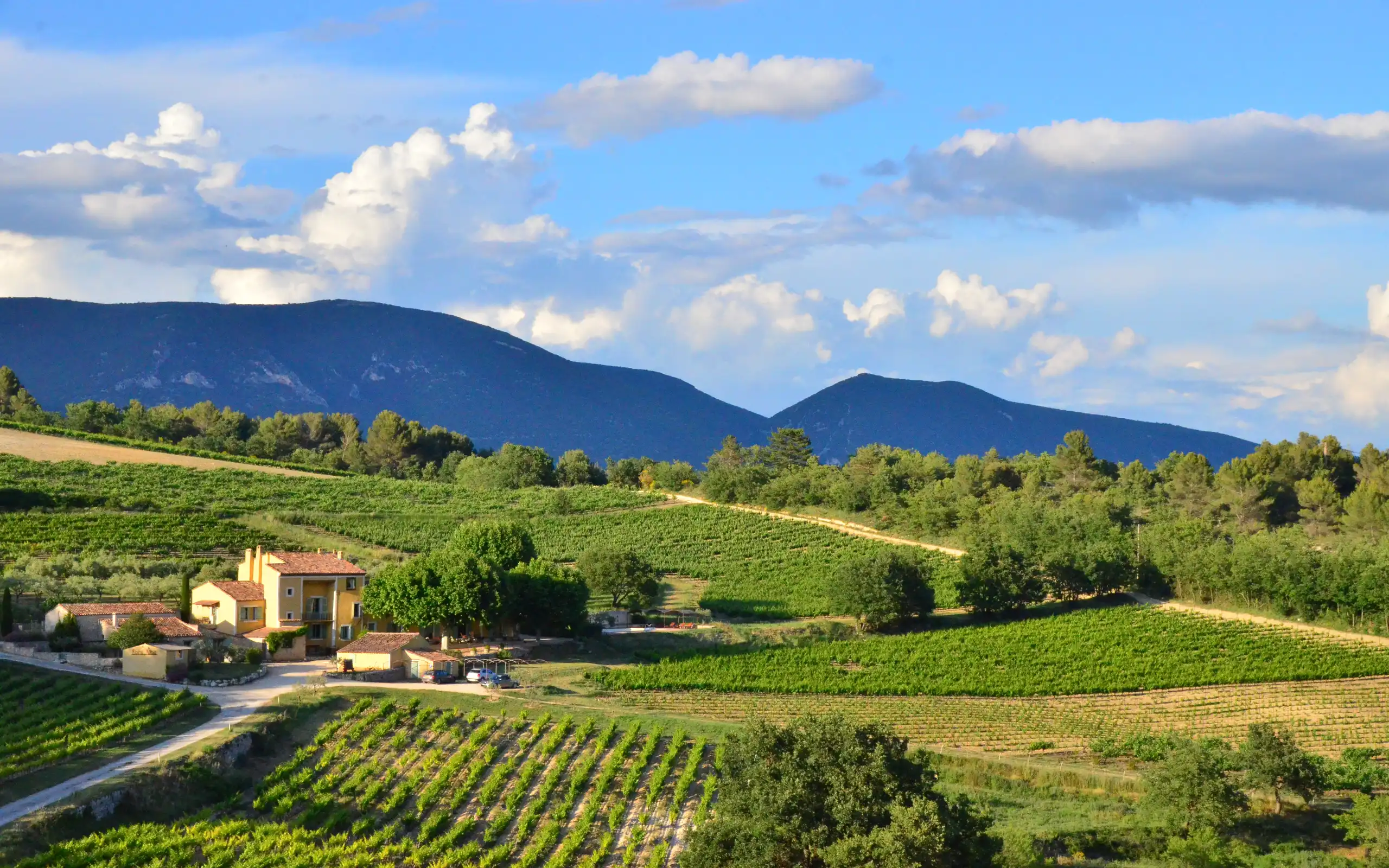 provence-landschaft-rundreise