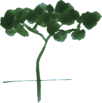 Der France-Naturelle Baum